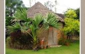 Туры в отель Pranberry Bed and Breakfast