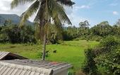 Туры в отель Samui Zenity Hotel