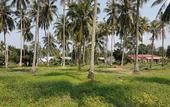 Туры в отель Samui Zenity Hotel