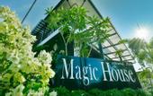 Туры в отель Magic House Resort