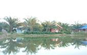 Туры в отель Maneemudjalin Resorts Farm Stay