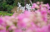 Туры в отель Baan Pingkan Wellness Resort