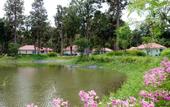 Туры в отель Baan Pingkan Wellness Resort