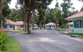 Туры в отель Baan Pingkan Wellness Resort