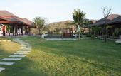 Туры в отель Waterside Resort