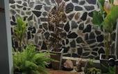 Туры в отель Waterside Resort