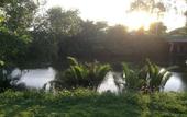 Туры в отель Waterside Resort