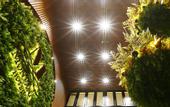 Туры в отель Montana Hotel