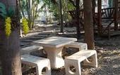 Туры в отель Charlie's Bungalow