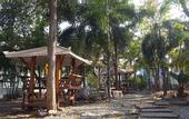 Туры в отель Charlie's Bungalow