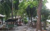 Туры в отель Charlie's Bungalow
