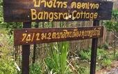 Туры в отель Bangsrai Cottage