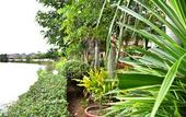 Туры в отель Rimbueng Resort Pranburi