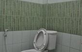Туры в отель Banana Resort Sadao