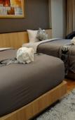 Туры в отель The U-Time Hotel