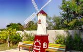 Туры в отель Oasis Resort