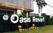 Туры в отель Oasis Resort