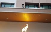 Туры в отель P18 Hotel