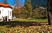 Туры в отель Ninemia Bungalows Resort