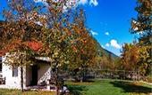 Туры в отель Ninemia Bungalows Resort