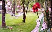 Туры в отель Ninemia Bungalows Resort