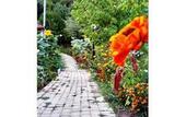 Туры в отель Ninemia Bungalows Resort