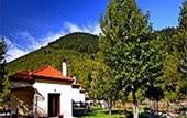 Туры в отель Ninemia Bungalows Resort