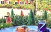 Туры в отель Bali Boutique Hotel Suratthani