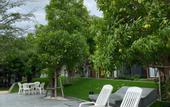Туры в отель Saksiam Lakeside Resort