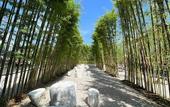 Туры в отель White Jade Villa Resort