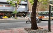 Туры в отель Forgotten Hostel Silom