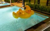 Туры в отель Crystal Srivaree Suvarnabhumi Hotel