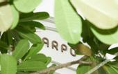 Туры в отель Arpo Pool Villa Riverside Bangkok