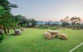 Туры в отель Thara Dara Khaoyai