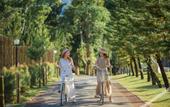 Туры в отель Thara Dara Khaoyai