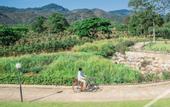 Туры в отель Thara Dara Khaoyai