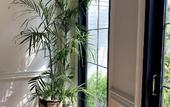 Туры в отель Wynn Villa