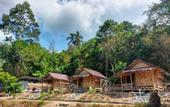 Туры в отель Samui Camping Farm