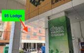 Туры в отель 95 Lodge