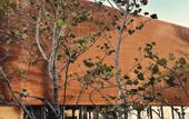 Туры в отель inchantreedoolay Huahin