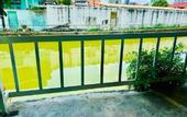 Туры в отель Ree- Riverside,Rama 3