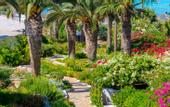 Туры в отель Nissi Beach Resort
