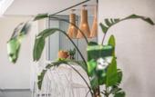 Туры в отель Nissi Park Hotel