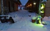 Туры в отель Agva Green River Otel - Adults Only