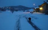 Туры в отель Agva Green River Otel - Adults Only