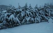 Туры в отель Agva Green River Otel - Adults Only