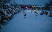 Туры в отель Agva Green River Otel - Adults Only