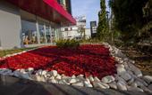 Туры в отель Business Palas Hotel
