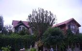 Туры в отель Koyevi Olympos Countryhouse
