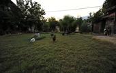 Туры в отель Koyevi Olympos Countryhouse